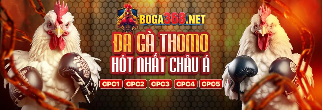 Sân đấu Đá Gà trực tuyến 777win APK với không khí sôi động