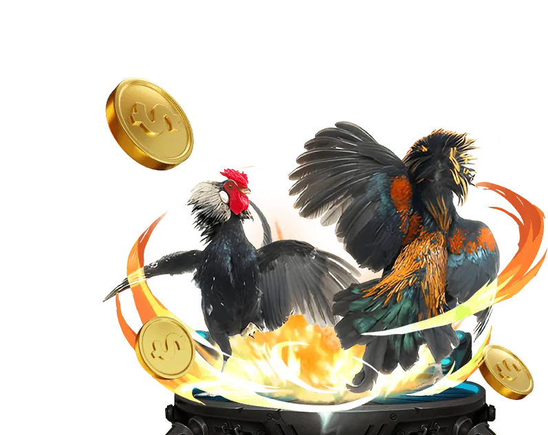 Đội ngũ hỗ trợ 777win APK